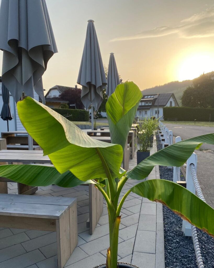 Tische und Schirme auf der Terrasse, im Hintergrund die Mosel